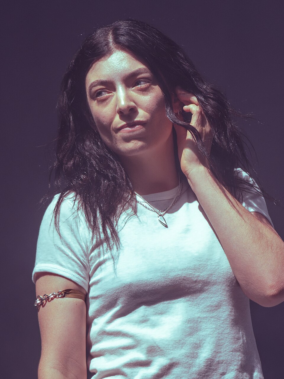 Lorde — source-linked artist photograph